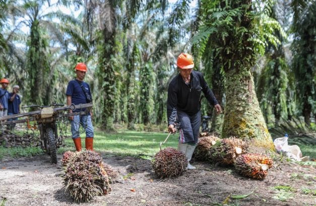 One Commodity Shift Every Malaysian SME Must Navigate — featured image