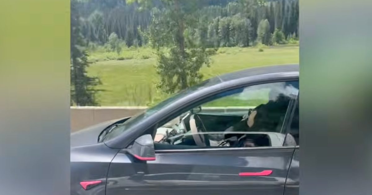 Tesla driver caught asleep at 100 km/h — how monitoring failed | Electrek