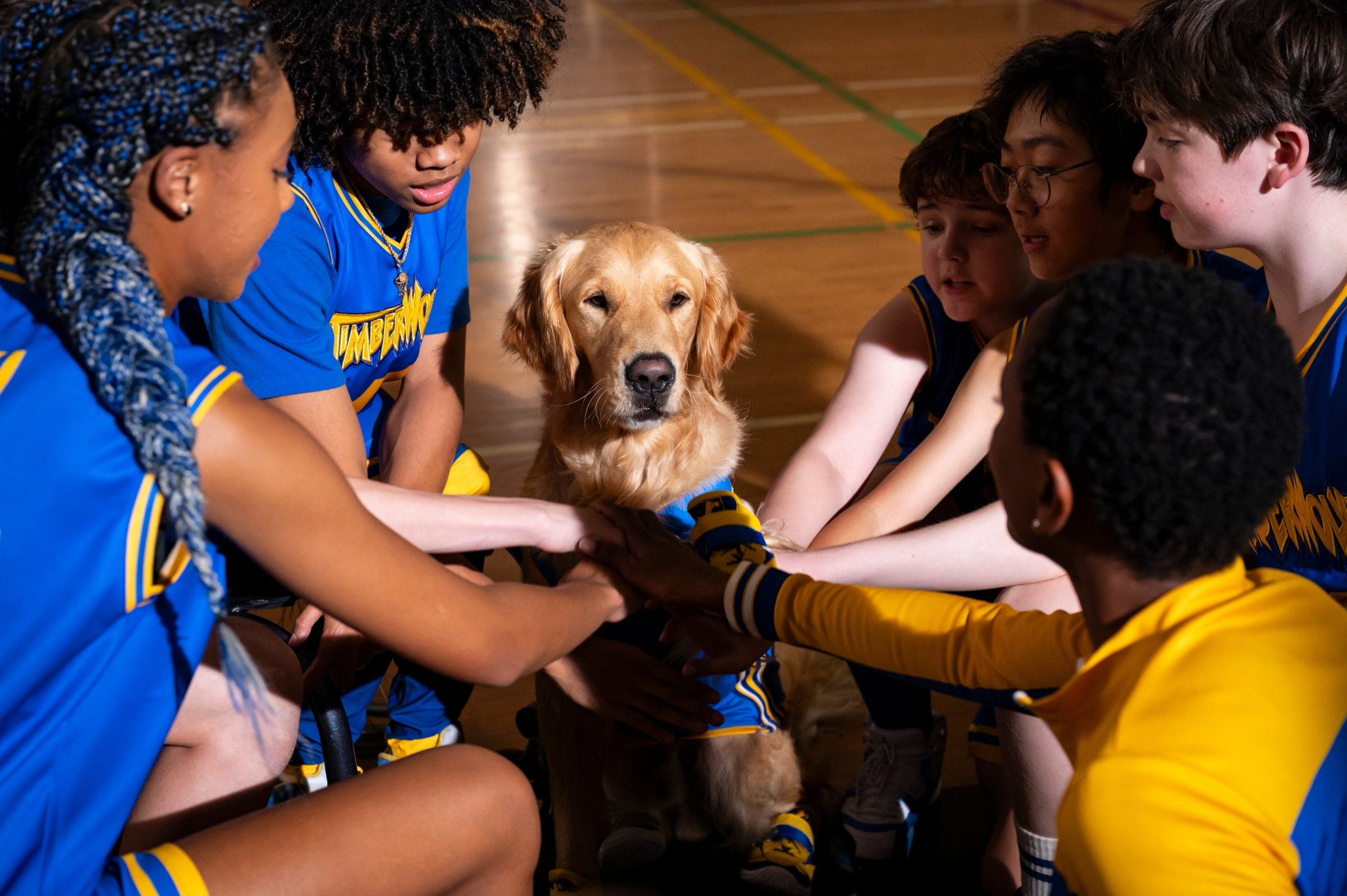 Air Bud’s Back: What Nostalgia Can Do for Your Business — featured image