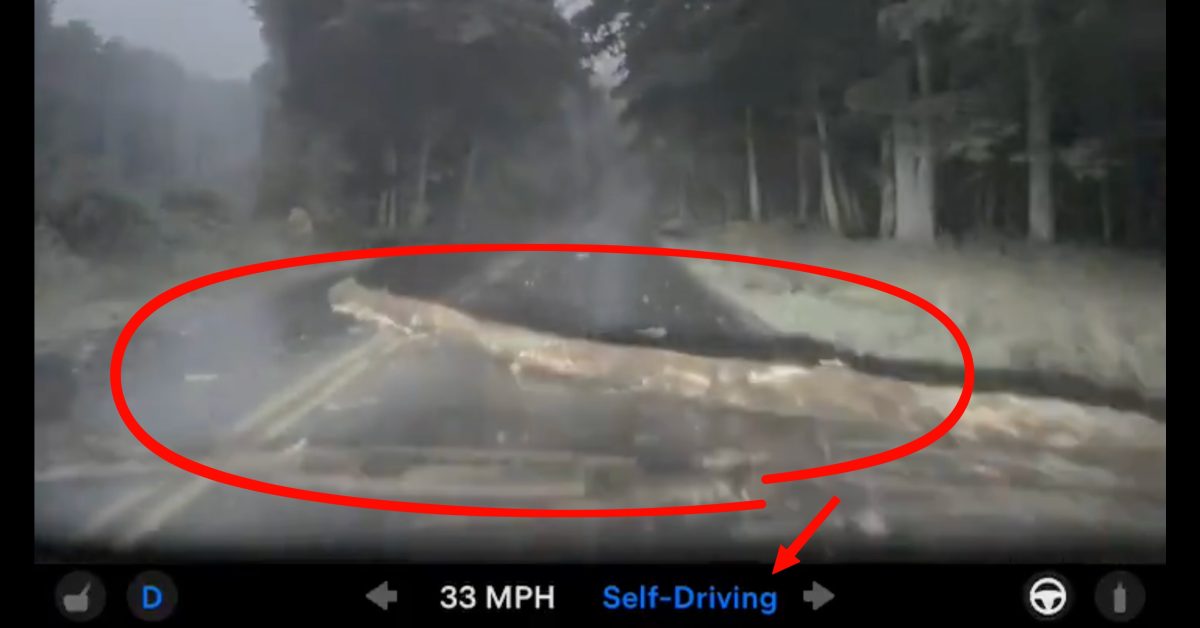 Tesla’s Log Mistake: What SMEs Can Learn From AI — featured image