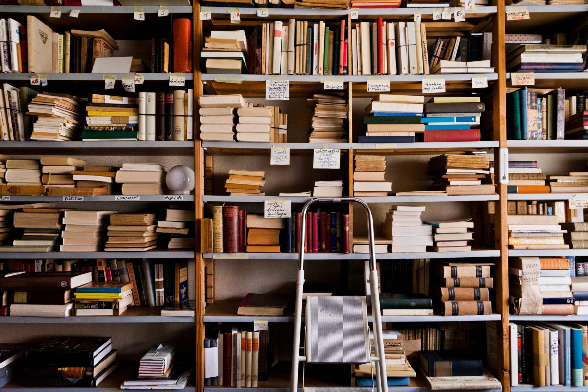 What Rare Books for AI Mean for Your SME’s Data Strategy — featured image