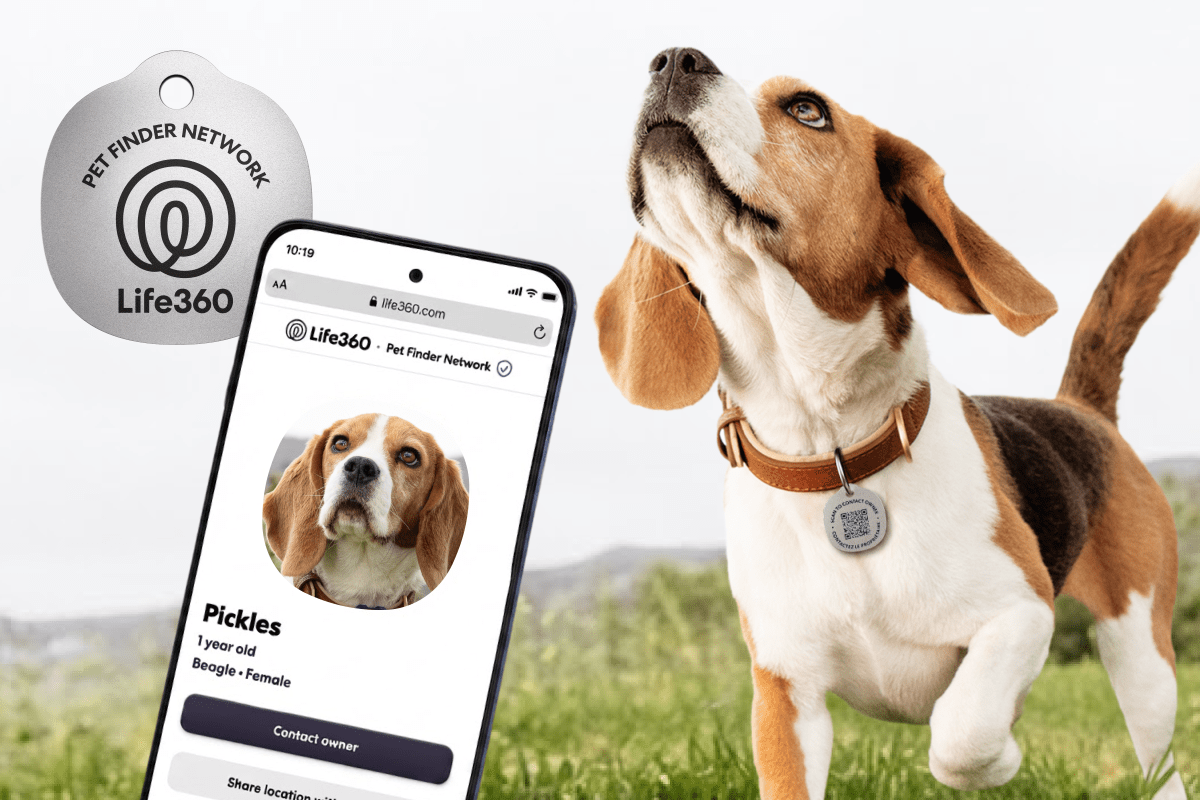 What Scannable Pet Tags Teach SMEs About Better Service — featured image
